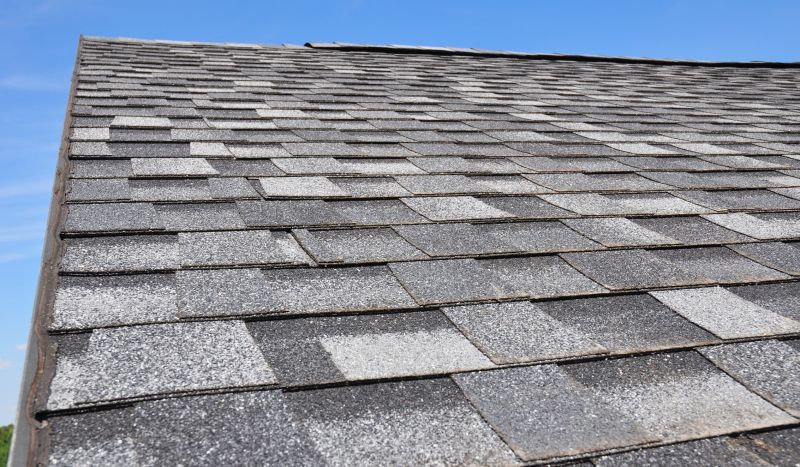 Roofing Service in Summer